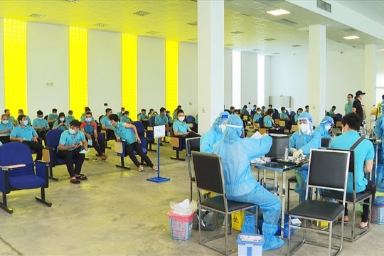 Cách chức giám đốc Trung tâm Y tế TP Trà Vinh vì tiêm vắc xin sai quy định