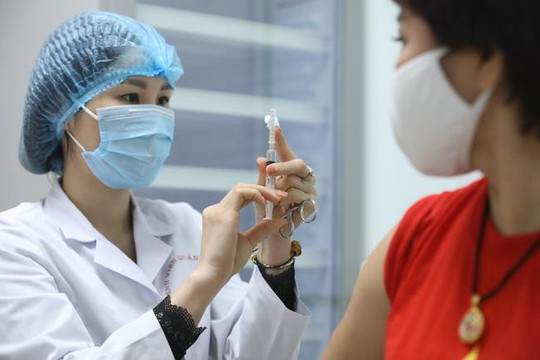 Hồ sơ của vaccine Nano Covax đã được chuyển sang Hội đồng Tư vấn cấp giấy đăng ký lưu hành thuốc