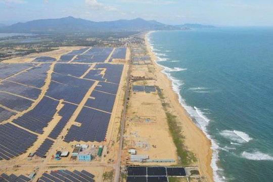 Chủ đầu tư Nhà máy điện mặt trời Phù Mỹ sẽ tích cực phối hợp khắc phục hậu quả