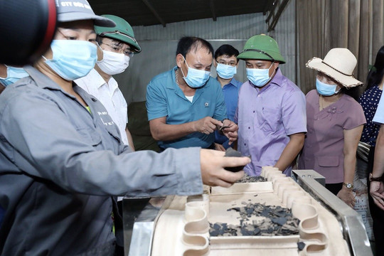 Lạng Sơn: Tổ chức Hội nghị trực tuyến quảng bá sản phẩm Thạch đen với nước ngoài