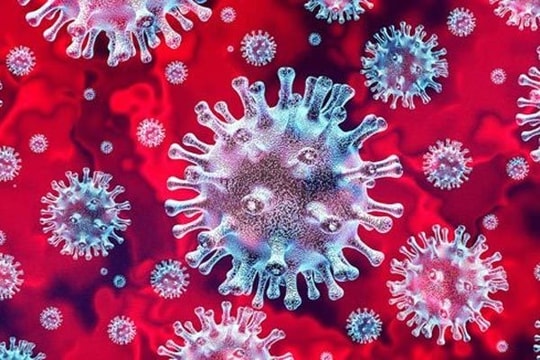 Tin vắn thế giới ngày 24/9: Biến thể R.1 chứa nhiều đột biến của virus SARS-CoV-2 lây lan mạnh tại Mỹ