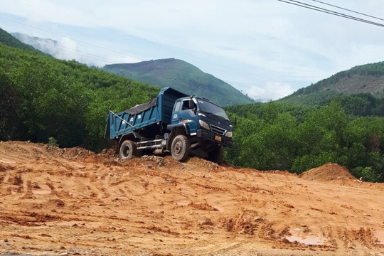 Quảng Ngãi: “Xẻ thịt” đất rừng trái phép giữa đại dịch Covid-19