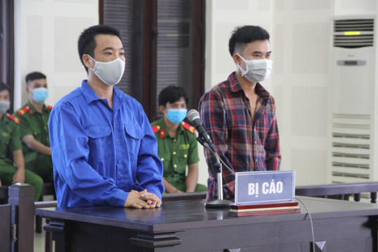 Che giấu anh phạm tội, hai anh em cùng vào tù