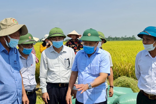 Nông nghiệp Quảng Trị: Ứng dụng thành tựu 4.0 để thích ứng trong đại dịch Covid-19