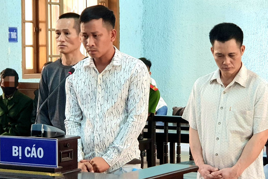  9 lần trộm hàng chục con bò, nhóm đối tượng lĩnh 29 năm tù