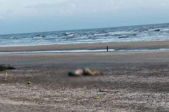Phát hiện thi thể người đàn ông trôi dạt vào bờ biển