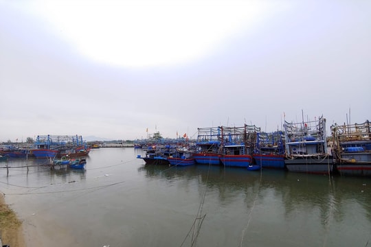 Quảng Nam: Nghiêm cấm tàu thuyền ra khơi từ 12h trưa ngày 6/10