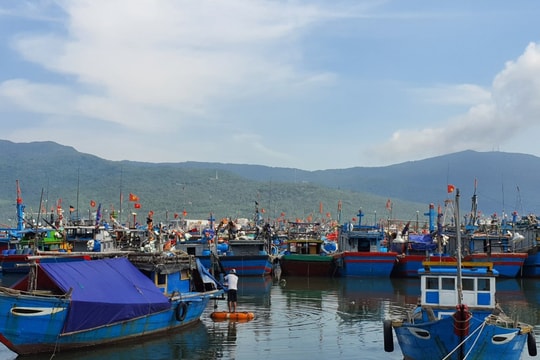 Đà Nẵng triển khai ứng phó mưa lớn, cảnh báo lũ, sạt lở đất