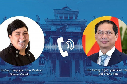 Việt Nam-New Zealand: Thúc đẩy hợp tác, phối hợp chuẩn bị Tuần lễ Cấp cao APEC 2021