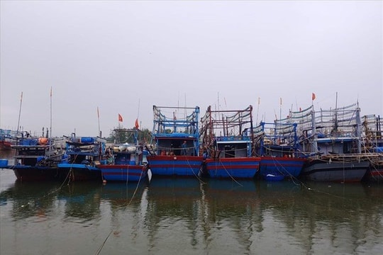 Thái Bình: Từ 9 giờ ngày 9/10 nghiêm cấm tàu, thuyền ra khơi