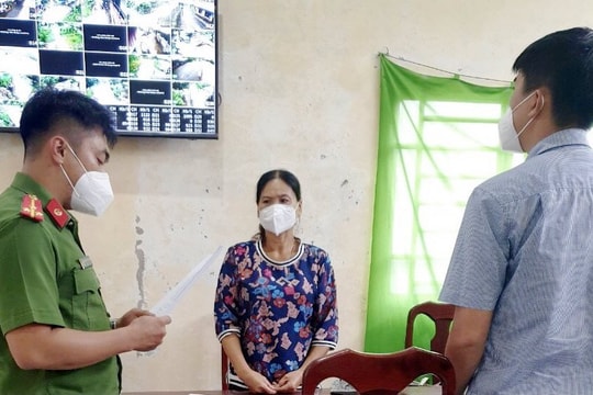 Bắt giam nữ giám đốc trốn thuế, lừa đảo chiếm đoạt 8,3 tỷ đồng