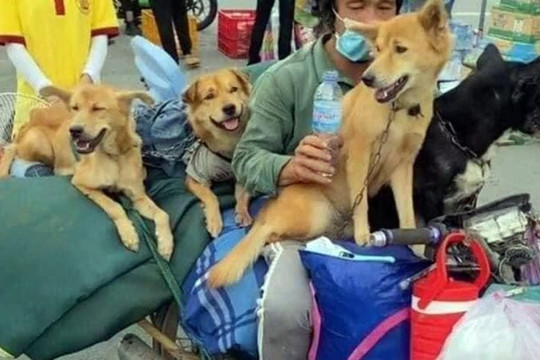 Vụ tiêu hủy đàn chó của người về quê: Chưa thấu tình đạt lý