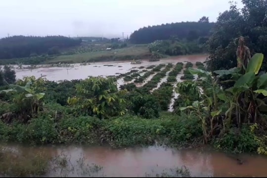 Mưa lớn kéo dài, nhiều tuyến đường, hoa màu ở Kon Tum bị thiệt hại
