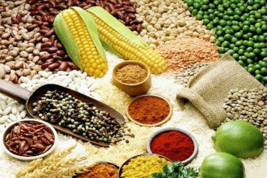 Chỉ số giá lương thực tiếp tục tăng, nguồn cung ngũ cốc dồi dào