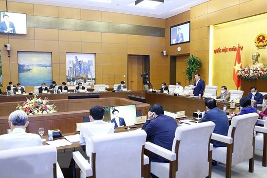 Chủ tịch Quốc hội chủ trì họp Ban chỉ đạo đề án xây dựng nhà nước pháp quyền XHCN