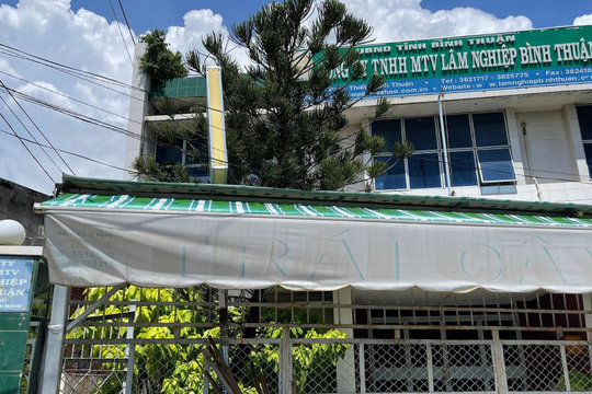 Khởi tố 2 nguyên lãnh đạo Công ty lâm nghiệp Bình Thuận