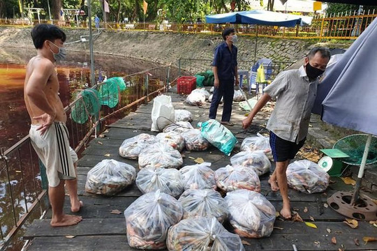 Hàng tấn cá chết trắng trong Công viên ở TPHCM