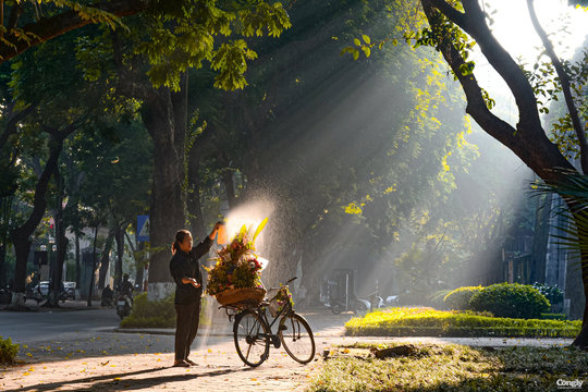 Phố Phan Đình Phùng bừng sáng những ngày cuối thu