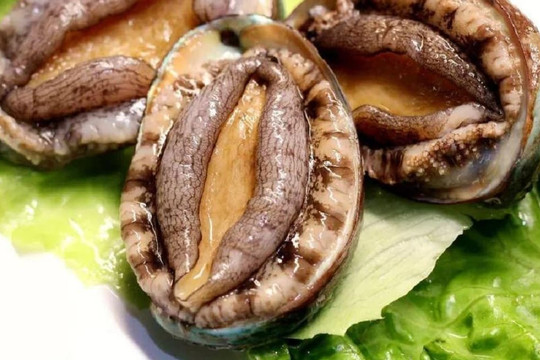 Lần đầu đi ăn bào ngư, nếu nhân viên hỏi bạn muốn gọi mấy 'đầu', đây là một câu trả lời chuyên nghiệp, nếu không sẽ khiến mọi người bật cười