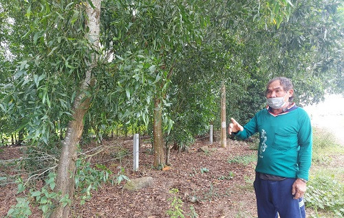 Bà Rịa - Vũng Tàu: Vì sao UBND huyện Đất Đỏ cấp GCN QSDĐ cho người không sử dụng đất?