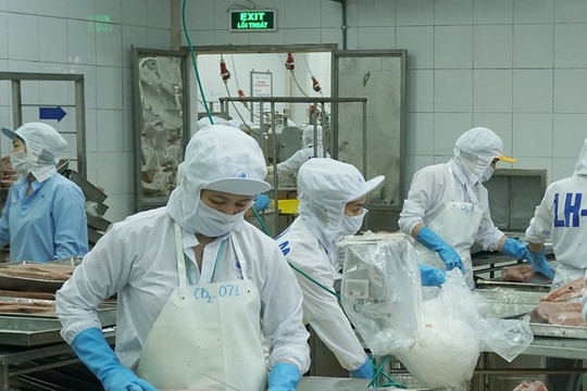 Tận dụng tối đa ưu thế từ EVFTA để khôi phục sản xuất kinh doanh