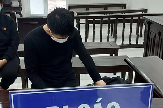 Lừa tiền làm visa "online", 9x ở Bắc Giang lĩnh 6 năm tù