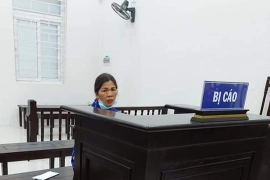 Nữ bị cáo ở Sóc Sơn trong vụ trộm cắp chì tại Chi cục Dự trữ Đông Anh được giảm án