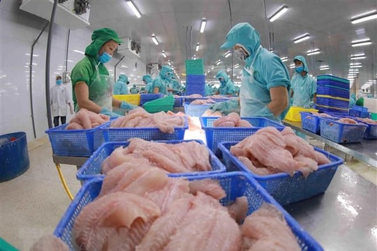 Xuất khẩu thủy sản về trạng thái bình thường mới, có tín hiệu hồi phục