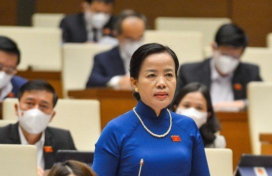 Đại biểu Quốc hội lo lắng SGK có nguy cơ quay trở lại tình trạng độc quyền của một mình doanh nghiệp