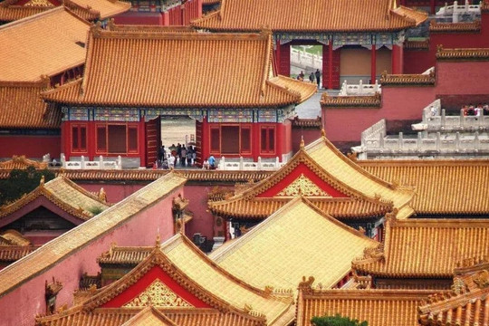 Rất nhiều gỗ đã được sử dụng để dựng lên Tử Cấm Thành, chúng được lấy từ đâu và vì sao sau hàng trăm năm không bị mối mọt?
