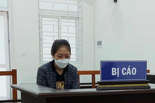 Chiếm đoạt tiền của doanh nghiệp, nữ cửa hàng trưởng lĩnh án tù