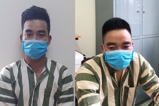 Gia Lai: Tạm giữ 2 đối tượng liên quan đến vụ khai thác trái phép 7 cây gỗ hương