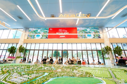 Cận cảnh không gian sống sinh thái tại Aqua City từ hành trình trải nghiệm độc đáo