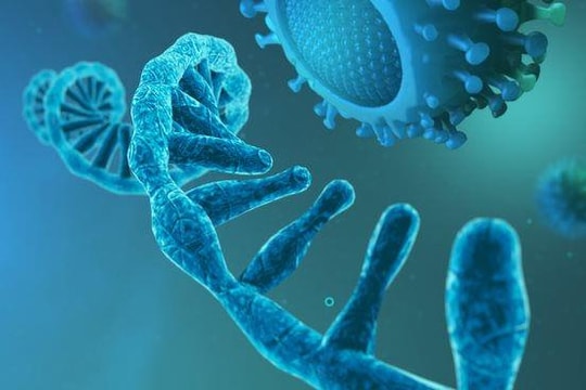 Tin vắn thế giới ngày 23/11: Vaccine công nghệ mRNA - Triển vọng chống lại các căn bệnh nguy hiểm