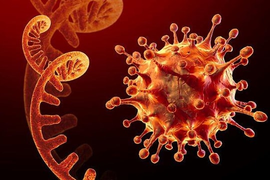 Omicron - Siêu biến chủng mới "đáng lo ngại" của virus SARS-CoV-2