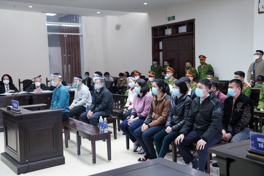 Bị cáo vụ Nhật Cường nói chỉ làm công ăn lương, xin miễn bồi thường thiệt hại