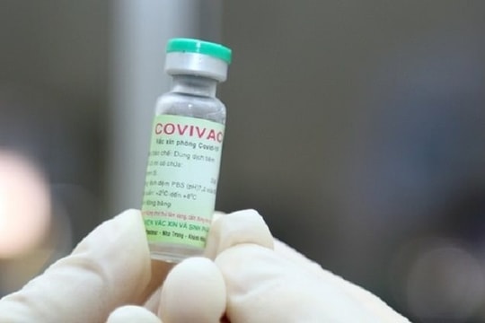 Tạm dừng thử nghiệm giai đoạn 3 vaccine Covivac