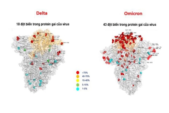 Tin vắn thế giới ngày 30/11: Giới khoa học gấp rút “giải mã” biến thể mới Omicron