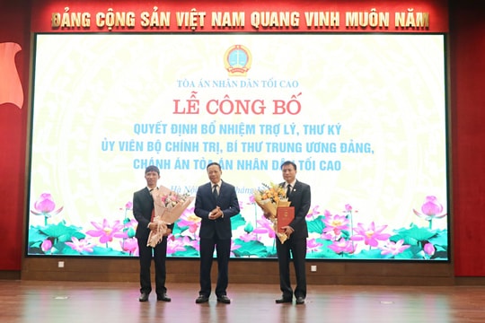 Bổ nhiệm Trợ lý, Thư ký Ủy viên Bộ Chính trị, Bí thư Trung ương Đảng, Chánh án TANDTC