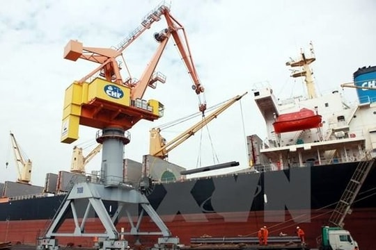 Tổng giá trị xuất nhập khẩu tháng 11 tăng 8,5% so với tháng trước