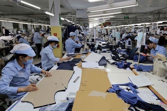 Cần khẩn trương phục hồi thị trường lao động