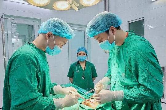 Bé trai 10 tuổi bị chó cắn rách mặt, tổn thương mắt