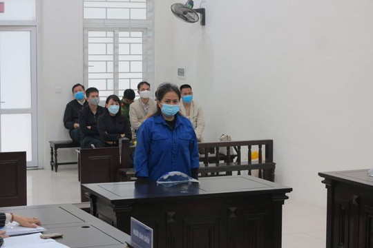 Lừa bán đất dự án chiếm đoạt gần 18  tỷ đồng