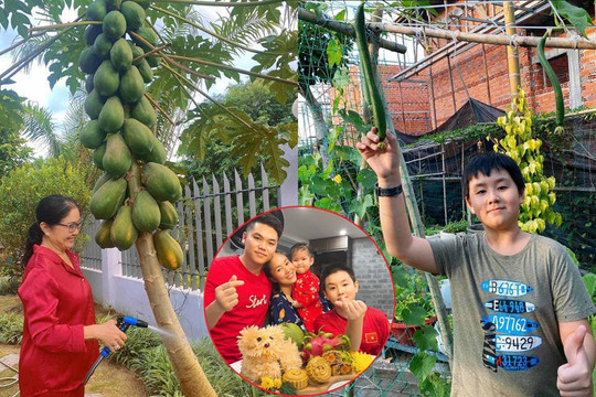 Lê Phương khoe vườn rau xanh mướt của nhà bố mẹ ruột ở Trà Vinh, hai nhóc tỳ thích thú khi được hái trái cây
