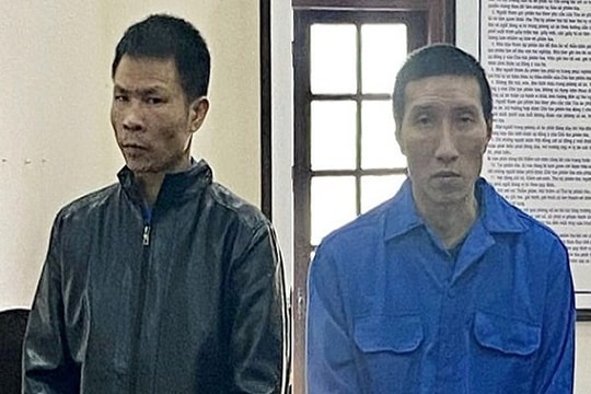 Mua ma túy giấu trong 4 hộp sữa tươi