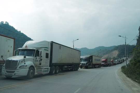 Đề xuất biện pháp giải cứu nông sản ùn tắc tại cửa khẩu biên giới