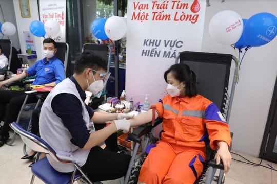EVNNPC: Tình hình hoạt động sản xuất kinh doanh tháng 11/2021, nhiệm vụ công tác tháng 12/2021

