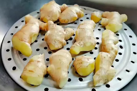 Gừng hấp trong nồi, có tiền cũng không mua được, cụ bà 90 tuổi đã bật mí bí quyết 'trường thọ', tiếc là không mấy ai biết
