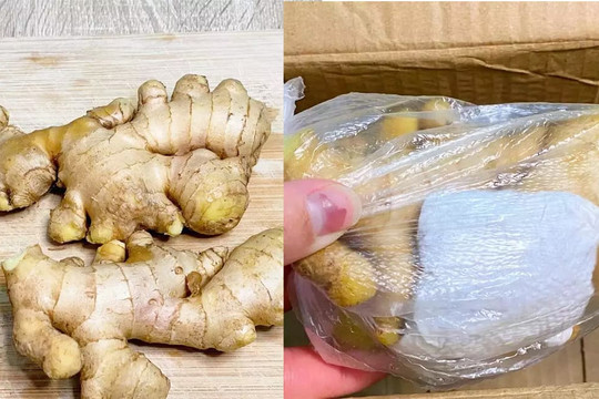 Đừng để gừng ăn không hết cũng đừng bỏ vào tủ lạnh, tôi sẽ hướng dẫn bạn 3 cách để gừng không bị khô, không bị thối, không mọc mầm sau 1 năm