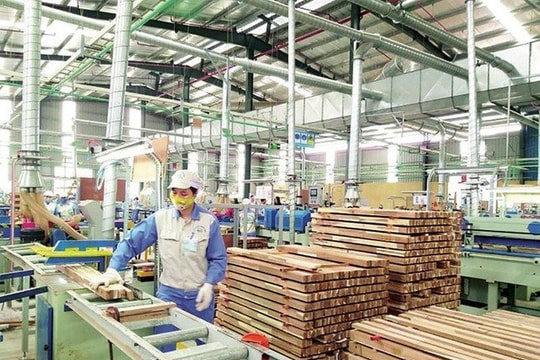 Xuất khẩu gỗ đạt xác lập kỷ lục mới, bất chấp dịch COVID-19